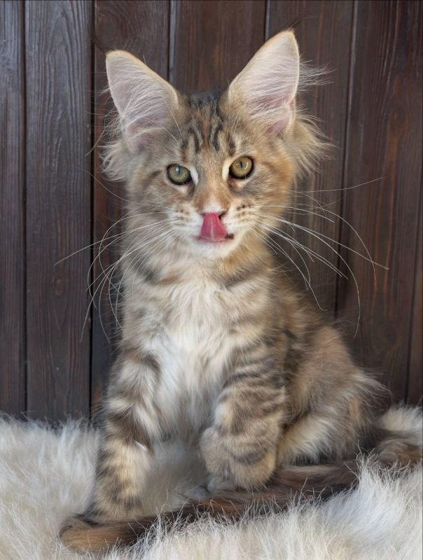 Marley